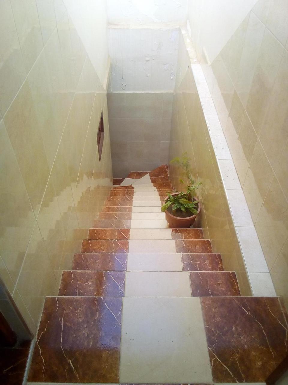 Osidi Homestay